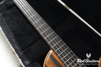 Platinum Series Single-Cut , e-volution 5 - Macassar Ebony
